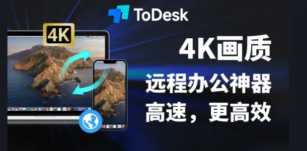 ToDesk 破解版的画面质量与正版之间存在哪些差异?
